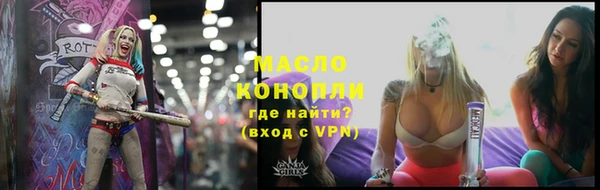 крисы Дегтярск