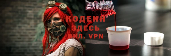 крисы Дегтярск