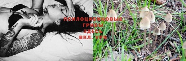 прущая мука Дедовск