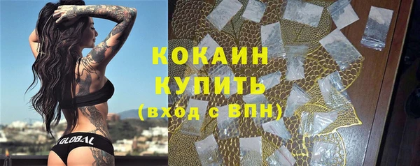 крисы Дегтярск