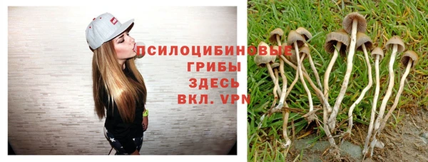 крисы Дегтярск