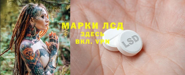 крисы Дегтярск