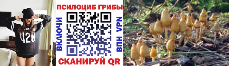 Галлюциногенные грибы Cubensis  Зверево 