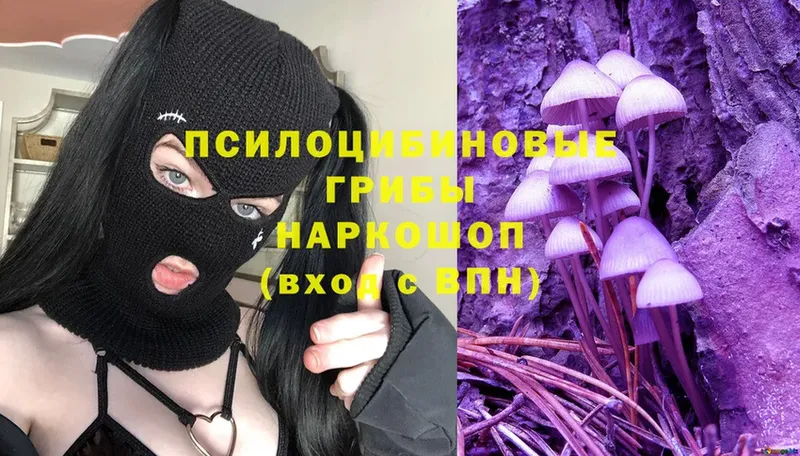 Псилоцибиновые грибы MAGIC MUSHROOMS  продажа наркотиков  Зверево 